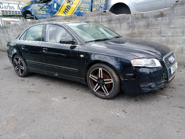 AUDI A4 (BPW) 2.0 TDI (B7) (8E) 140CV (2004-2008) 103KW (2006)