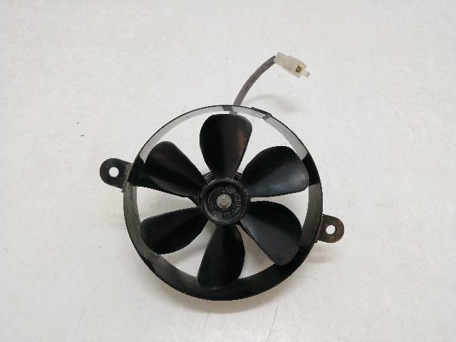 ELECTROVENTILADOR  DAELIM ROADWIN 125 BA8/B/LS 10,9 (2009)